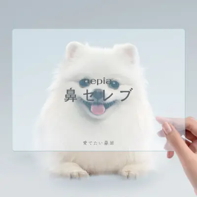 Bコース 賞品画像