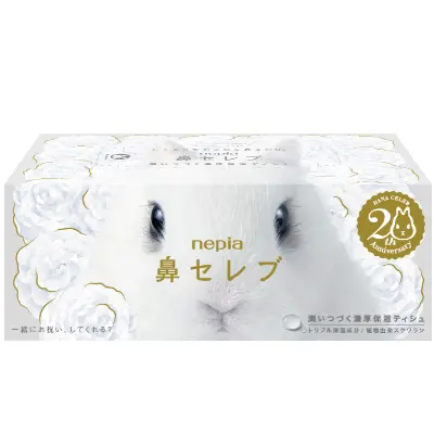 Cコース 賞品画像